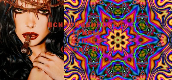 PSILOCYBIN Белоозёрский